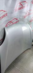 Капот Kangoo 2006 1 1.2 d7f Капот Kangoo 2006 1 1.2 d7f
