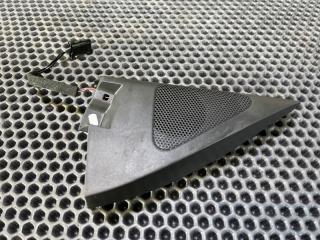 Динамик Volkswagen Tiguan 2010