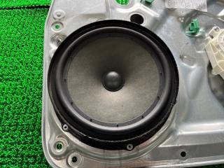 Динамик Volkswagen Tiguan 2010