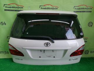 Запчасть дверь 5-я TOYOTA IPSUM