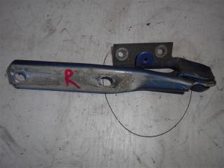 Запчасть петля капота правая Volkswagen Passat 1999