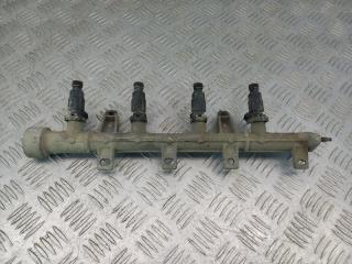 Рейка топливная (рампа) Hyundai Accent 2 2006 Б/У Рейка топливная (рампа) Hyundai Accent 2 2006