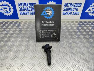 Катушка зажигания Ford Focus 2