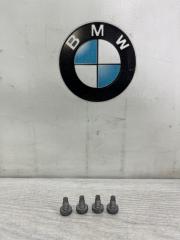 Комплект крепежа замка капота BMW X5 3.0si 2008