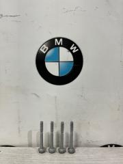Комплект болтов дроссельной заслонки BMW 320i 2012