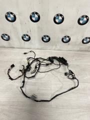 Проводка двери передняя левая BMW X5 3.0si 2008