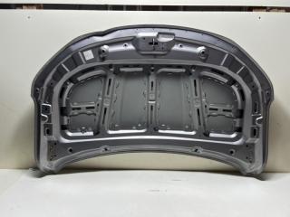Капот передний Coolray 2019-2023 sx11