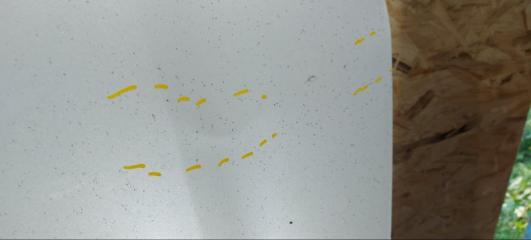 Капот SRX 2009-2016 2