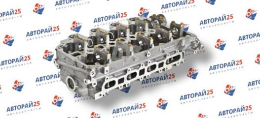 Головка блока цилиндров пустая Mitsubishi L200 1005A560