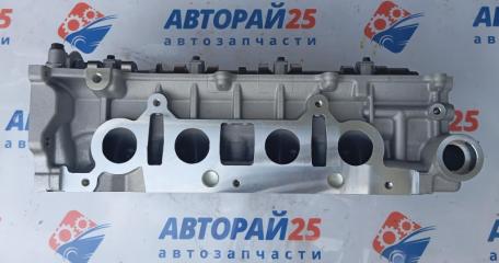 Головка блока цилиндров в сборе Atlas 1016050941 JLD4G20