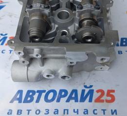 Головка блока цилиндров в сборе Atlas 1016050941 JLD4G20