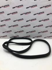 Фото запчасти уплотнитель стекла двери задний левый Skoda Octavia A4 2007 Б/У запчасть Запчасть уплотнитель стекла двери задний левый Skoda Octavia A4 2007