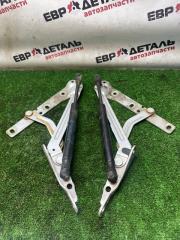 Петля крышки багажника Ford Focus 2 2006 Б/У Петля крышки багажника Ford Focus 2 2006