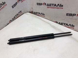 Запчасть амортизатор крышки багажника Ford Focus 1 2004