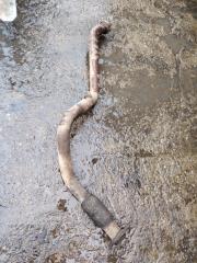 Гофра глушителя Газон NEXT 3010GD 8 2018