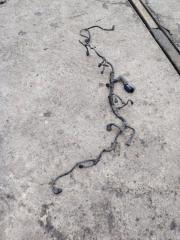 Жгут проводов двигателя Hyundai HD78 EURO 4 2018 Б/У Жгут проводов двигателя Hyundai HD78 EURO 4 2018