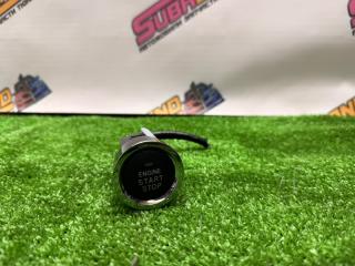 Кнопка запуска XV 2013 GP7 FB20