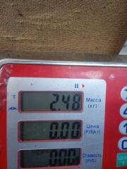 Коллектор выпускной 500 2010 Хэтчбэк 3 дв. 1.3 Z13DTJ Коллектор выпускной 500 2010 Хэтчбэк 3 дв. 1.3 Z13DTJ