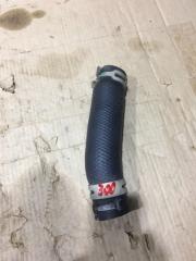 Патрубок радиатора TOYOTA Land cruiser 2021