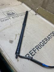 Амортизатор двери багажника задний правый LEXUS RX300 2019 Б/У Амортизатор двери багажника задний правый LEXUS RX300 2019