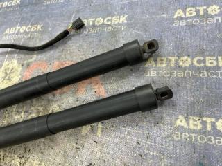 Амортизатор 5-й двери Discovery Sport 2014-2019 L550 204DTD