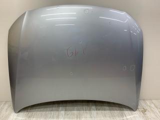 Запчасть капот VOLKSWAGEN PASSAT B6 2009