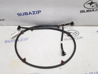 Шланг омывателя фар Subaru Legacy 2009-2015