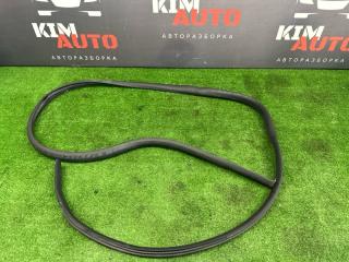 Уплотнитель проема двери передний Renault Logan 2014 Б/У Уплотнитель проема двери передний Renault Logan 2014