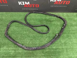 Фото запчасти уплотнитель двери задний правый Audi A6 quattro 2007 Б/У запчасть Запчасть уплотнитель двери задний правый Audi A6 quattro 2007