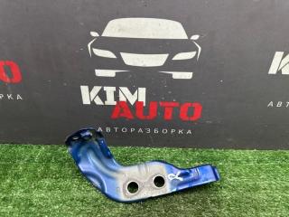 Кронштейн крыла передний правый Kia Rio 3 2014 Б/У Кронштейн крыла передний правый Kia Rio 3 2014
