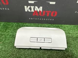 Накладка потолка салона Volkswagen Polo 2017