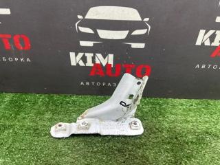 Кронштейн крыла передний правый Volkswagen Polo 2017 Б/У Кронштейн крыла передний правый Volkswagen Polo 2017