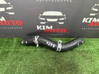 Патрубок радиатора верхний Kia Rio 4 2019
