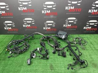 Проводка моторного отсека с блоком предохранителей Kia Rio 4 2017