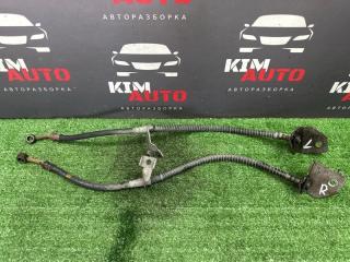 Шланг тормозной передний Kia Rio 4 2017