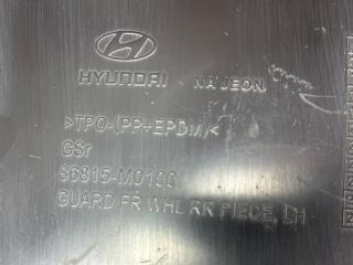 Подкрылок передний левый Creta 2017 GS 1.6 G4FG