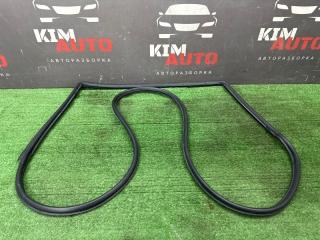 Запчасть уплотнитель двери задний правый Chevrolet Captiva