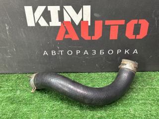 Патрубок радиатора нижний Kia Ceed 2 2015