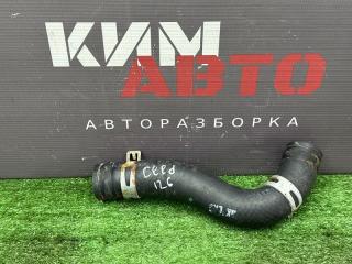 Патрубок радиатора верхний Kia Ceed 3 2018