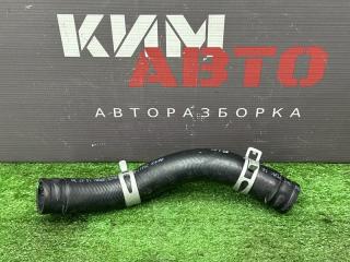 Патрубок радиатора верхний Kia Rio 4 2019