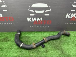 Патрубок радиатора верхний Kia Sportage 4 2017