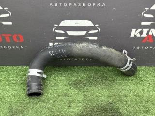 Патрубок радиатора нижний Hyundai Solaris 2 2018
