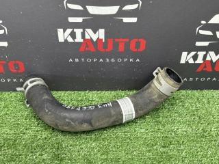 Патрубок радиатора нижний Kia Ceed 3 2021