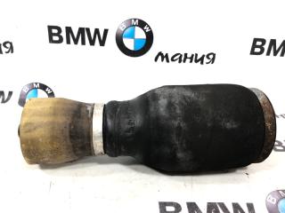Пневмобаллон задний левый левый BMW X5 2005