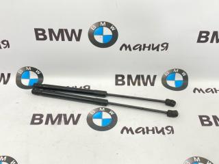 Амортизатор капота BMW X6 2009
