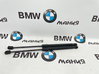 Амортизатор капота BMW X5 2009