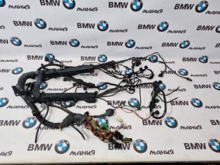 Проводка двигателя и АКПП BMW X5 2005