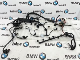 Проводка двигателя и АКПП BMW X6 2009