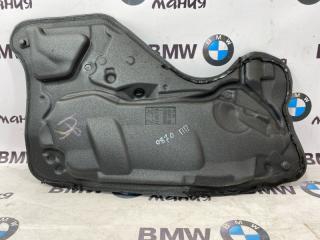 Шумоизоляция двери передняя правая BMW X5 2013 контрактная Шумоизоляция двери передняя правая BMW X5 2013