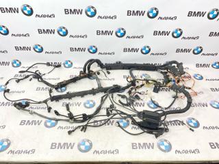 Проводка двигателя и АКПП BMW X5 2008 контрактная Проводка двигателя и АКПП BMW X5 2008